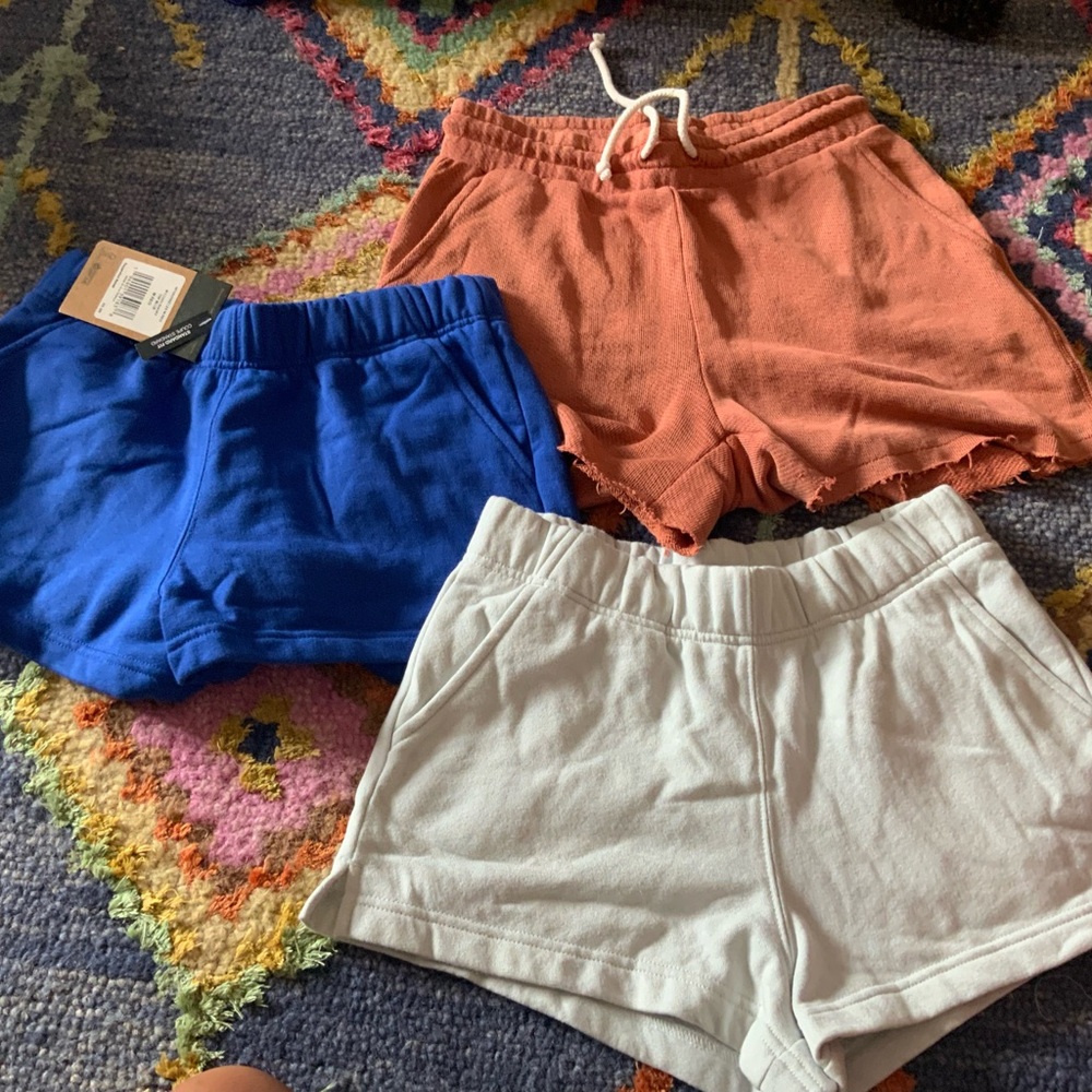 The North Face Blue Logo Shorts